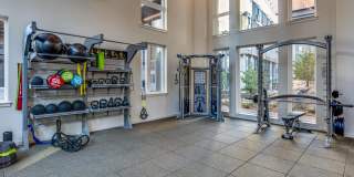 Sitka Gallery 52
