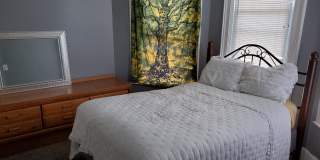 Student Housing 65 Center St Student Housing 65 Center St Gallery 7