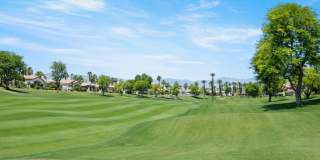 461 Desert Holly Drive Gallery 25