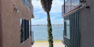 Rare Bayside Opportunity - 3802 Riviera Drive Gallery 6