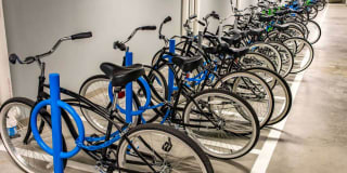 Tempo Cambridge Gallery 24