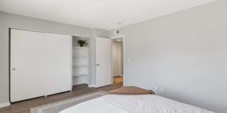 The Preserve at Pine Valley Gallery 8