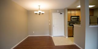 7150 Shoreline Drive Gallery 2