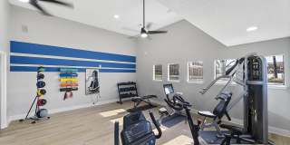 The Ava and Aria Gallery 17