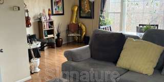 101 Southampton Dr Gallery 6