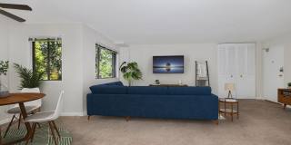 Hyattsville House Gallery 3