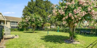 Signal Pointe Gallery 12