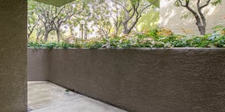 Hampshire Place Gallery 21