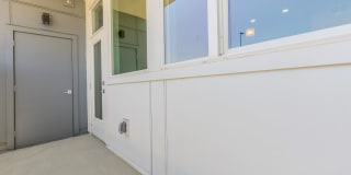 Proximo at Pena Station Gallery 135