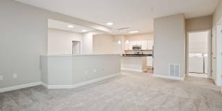 5137 Foxtail Pine Street Gallery 12