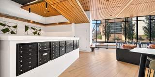 Triangle Square Gallery 30