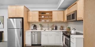 Arrive Hollywood Arrive Hollywood Gallery 10