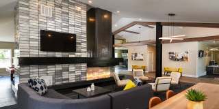 Woodland Hills Gallery 19