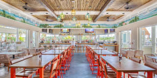 1131 Fins Up Court Gallery 44