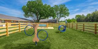 Summerfield Apartments Gallery 54