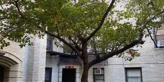 21-67 33 Street Gallery 11