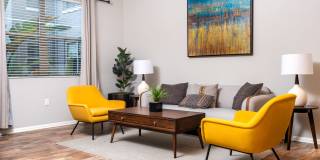 Paragon at Old Town Gallery 17