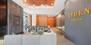 The Ayden Gallery 26