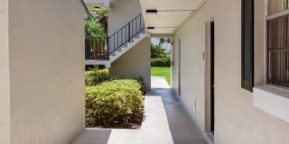 Sunset Palms Gallery 40