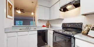 Addison Apartments at the Park Gallery 12
