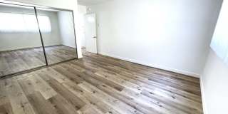 10908 Rose Gallery 18