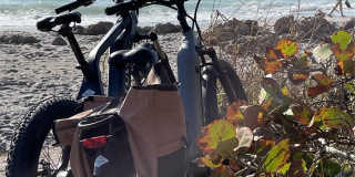 333 THE ESPLANADE N Gallery 42