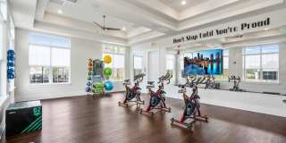 Lerner Parc at Gatlin Commons Gallery 32