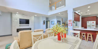 Expansive Clearwater Luxury | 6BR Pool Home w/ Solar, Outdoor Kitchen & 3+ Car Garage Gallery 17
