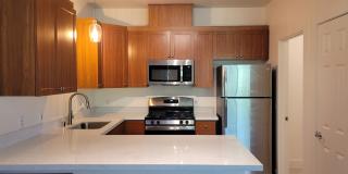 Polo Villas Gallery 2