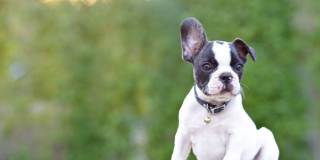 Bankside Village Gallery 9