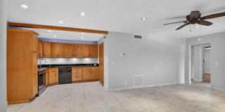 511 Shady Pine Way Gallery 8