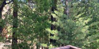 Lake Rights Property!! Terrific Alpine Chalet!! Gallery 12