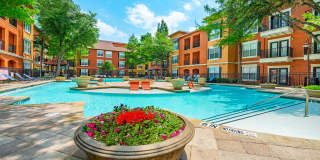 Allura Las Colinas Gallery 10