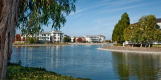 Riva Terra Apartments at Redwood Shores Gallery 70
