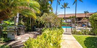 Fully Furnished, 1 Bed/1 Bath, Kihei Bay Vista with Pool Fully Furnished, 1 Bed/1 Bath, Kihei Bay Vista with Pool Gallery 32