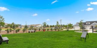 River Rock at Blume Road - 55+ Apartment Homes Gallery 11