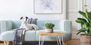 Lago Apartments Gallery 42