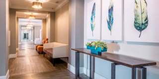 Linden on the GreeneWay Gallery 27