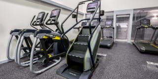 TGM Springbrook Gallery 20