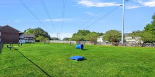 Brighton Park Gallery 34