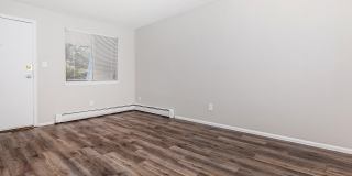 Pebble Creek Gallery 1