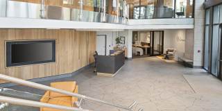 The Olivian Gallery 25