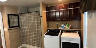 12 Green Lane Gallery 5