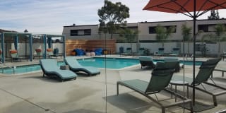 Mission Trails Gallery 13