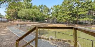 Harris Pond Gallery 34