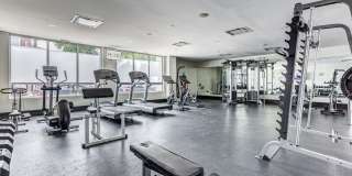 Luxe Logan Square Gallery 8