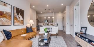 The Met The Met Gallery 8