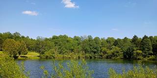 10 Deer Lake Gallery 1