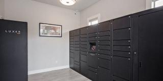 Trio Pointe Gallery 38