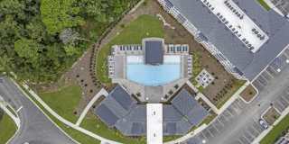 Waterleaf at Salt Creek Gallery 9